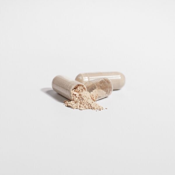 Lion's Mane Mushroom - Image 15