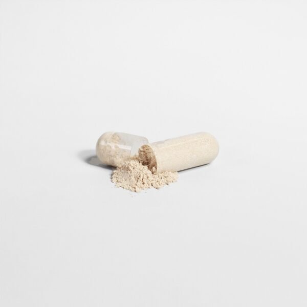 Sea Moss - Image 4